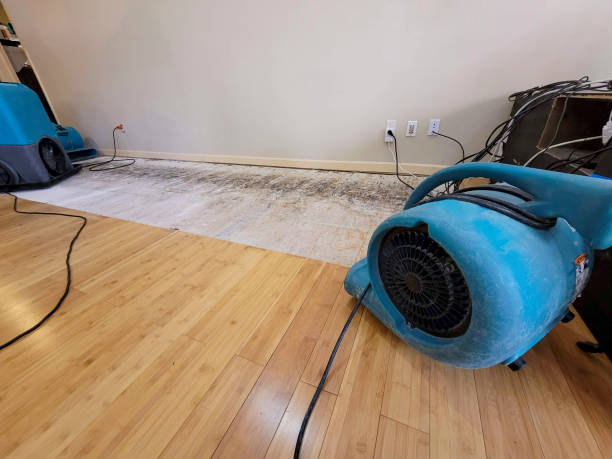 Professional Water Removal technician working in Port Charlotte, FL